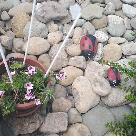 уют с. * زيرافنا