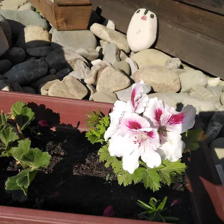 بيت للعطل уют с. *