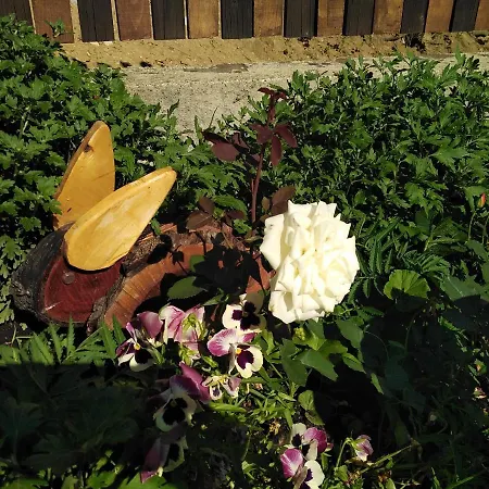 בית נופש уют с. *