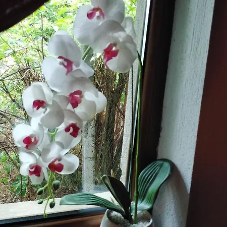 уют с. بيت للعطل *