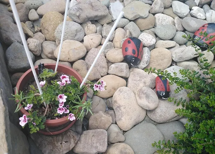 уют с. * 泽拉夫纳