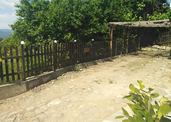 уют с. 泽拉夫纳