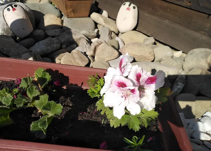 度假居 уют с. *