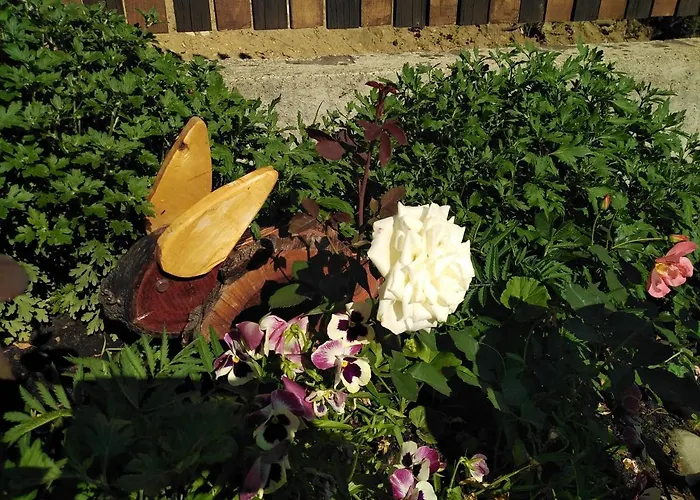 度假居 уют с. *