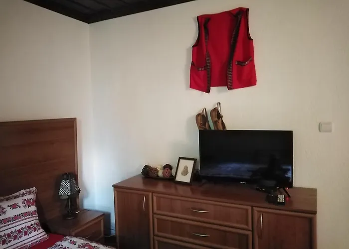 уют с. 泽拉夫纳