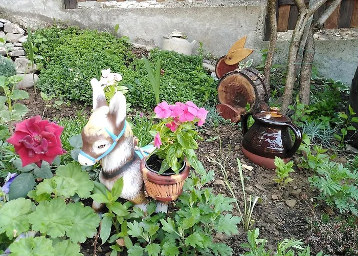 уют с. 泽拉夫纳