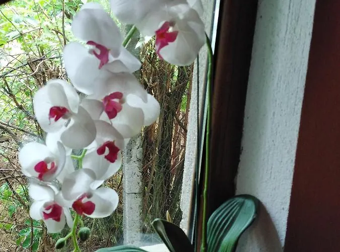 уют с. 度假居 *