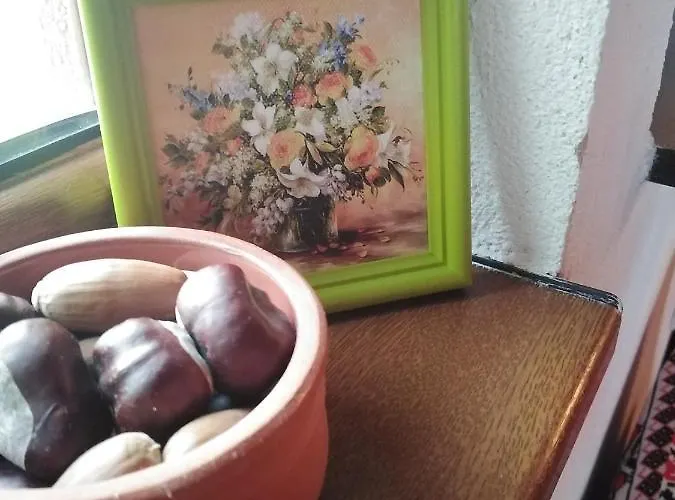 度假居 уют с. *